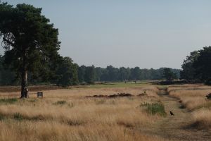 Woodhall Spa (Hotchkin) 6th